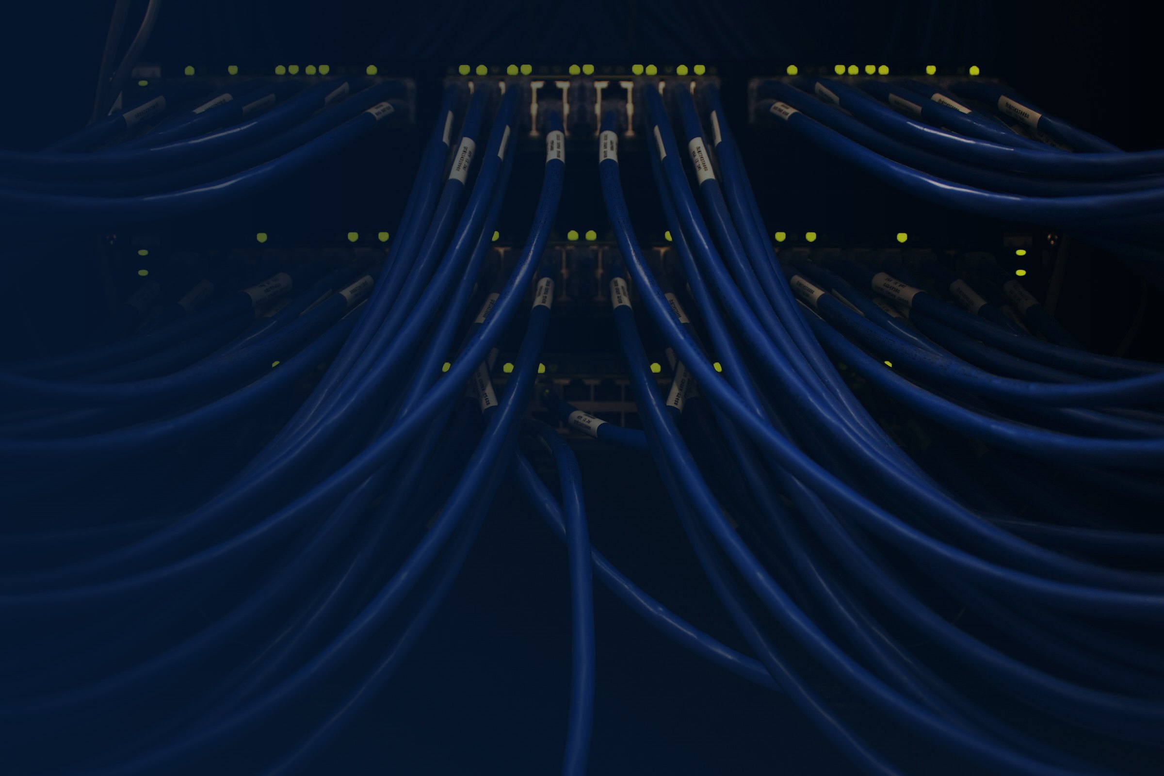 Blaue Netzwerkkabel an einem Serverrack, Inkasso für IT-Dienstleister und Software