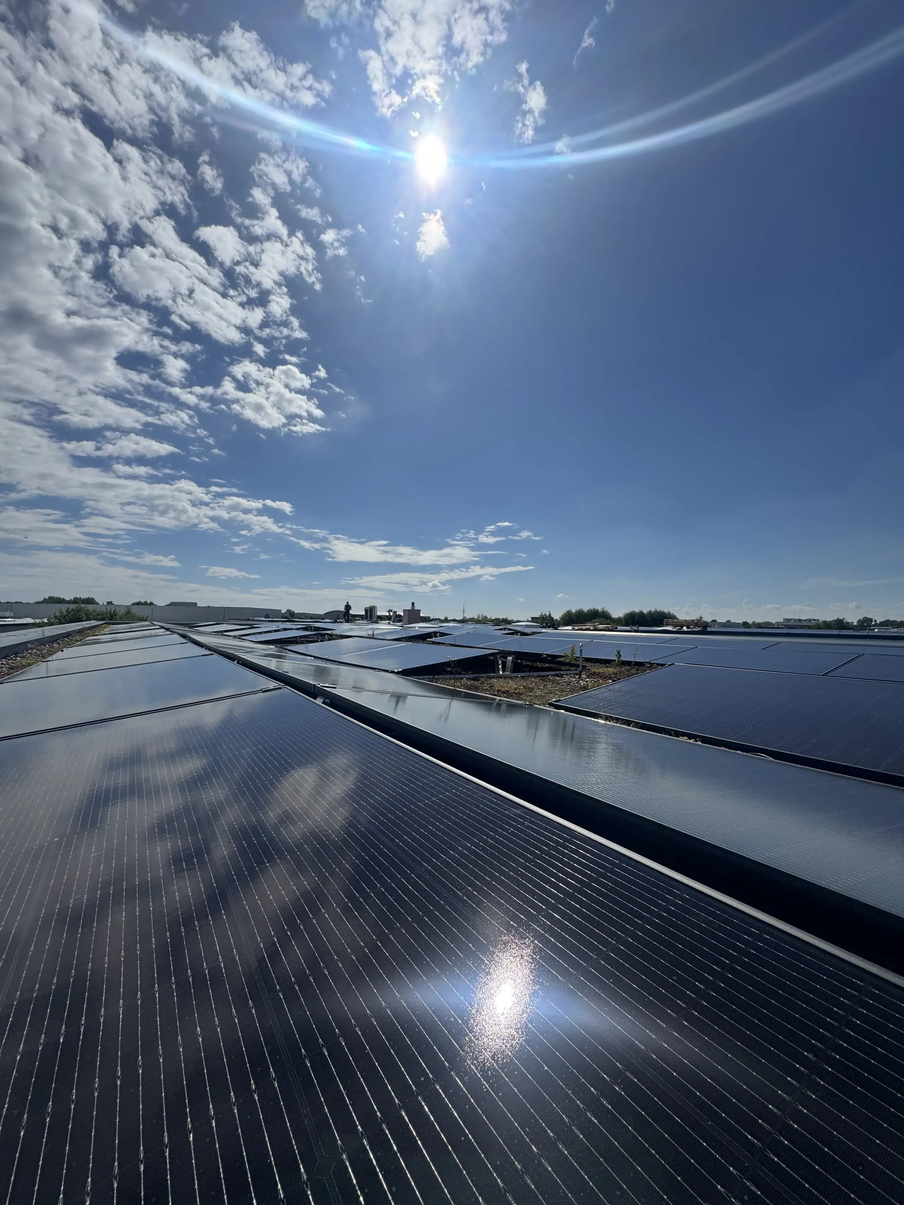 Photovoltaikanlage auf einem gewerblichen Flachdach unter blauem Himmel mit Sonnenschein.